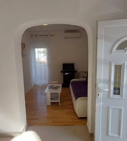 Apartment Viki
