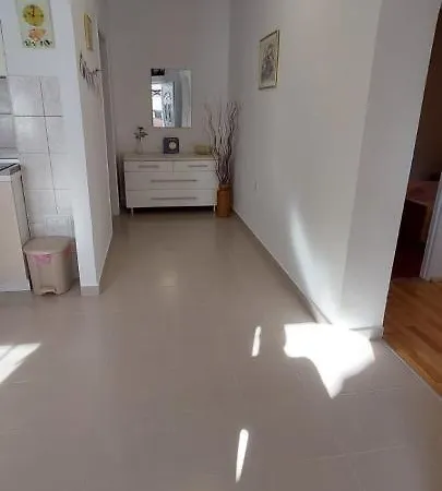 Apartment Viki *