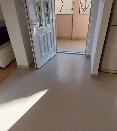 Viki Zadar