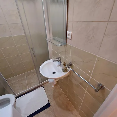 Apartment Viki