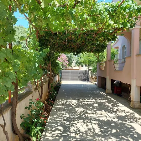 Viki Apartment Zadar