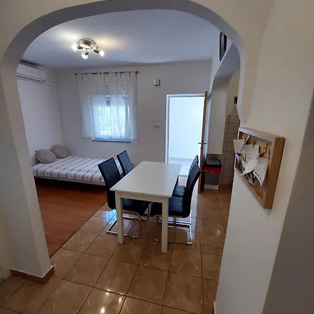 Apartment Viki