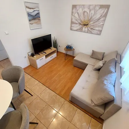 Viki Zadar
