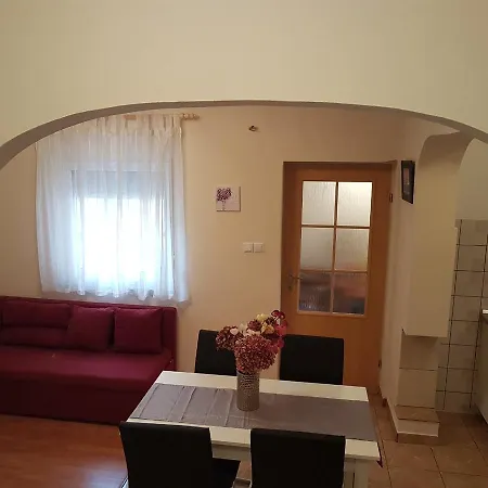 Apartment Viki