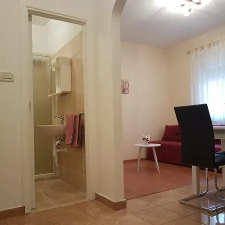 Apartment Viki