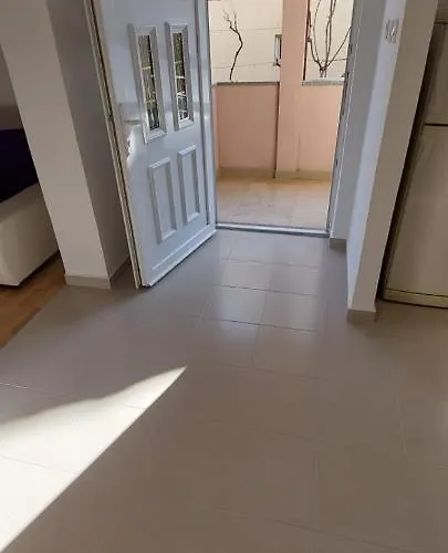 Viki Zadar